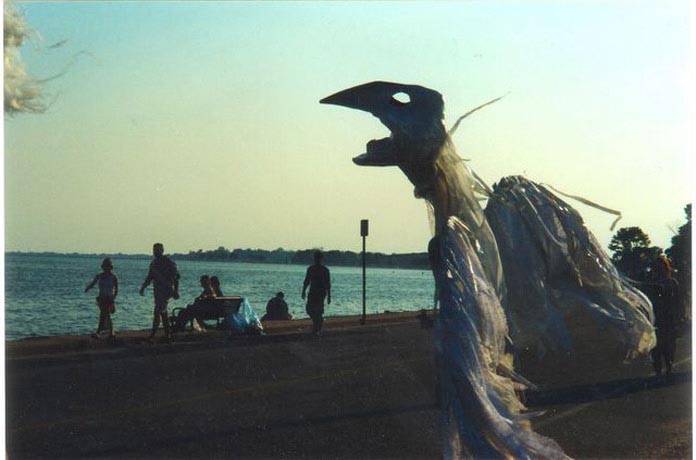 bird